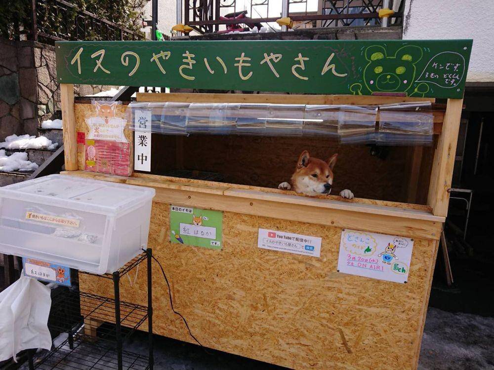Twitter.com/hina_shii_ver2