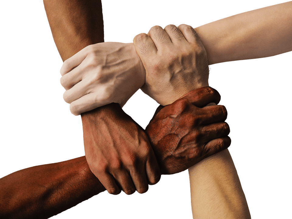 pixabay.com/truthseeker08
