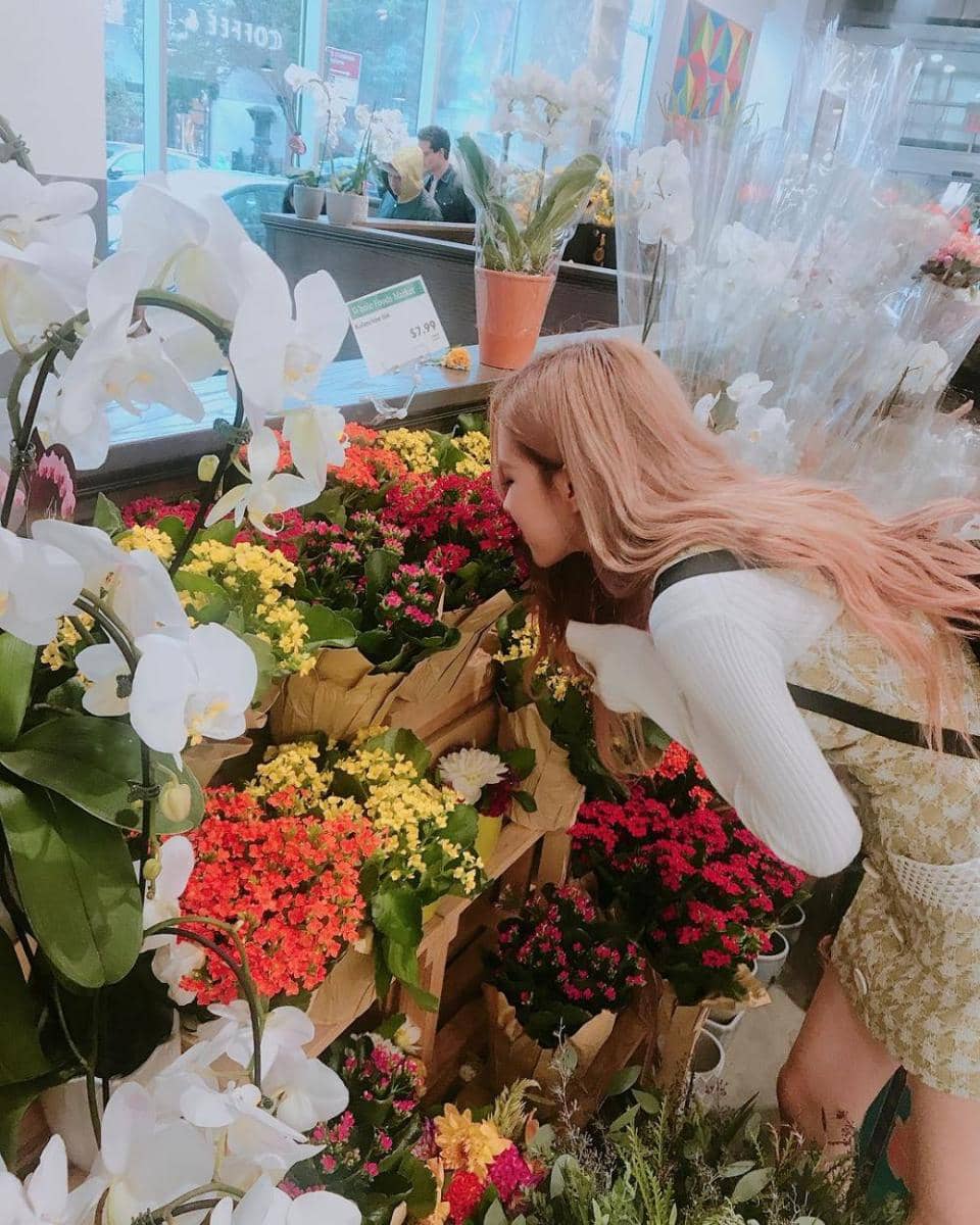 instagram.com/roses_are_rosie