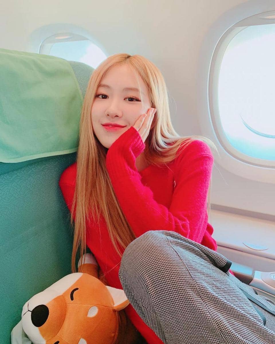 instagram.com/roses_are_rosie