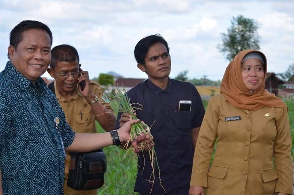 IDN Times/Kementan