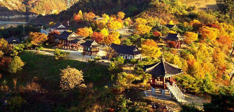 tour.jecheon.go.kr
