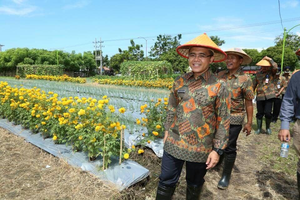 IDN Times/Beautiful Banyuwangi
