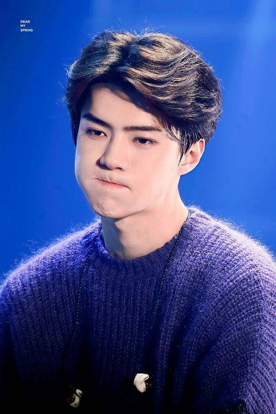 twitter.com/dearmyspring_sh