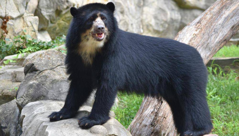 nationalzoo.si.edu