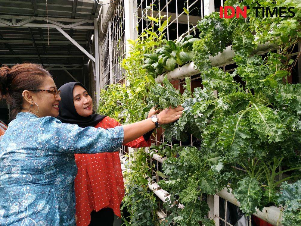 IDN Times/Syarifah Noer Aulia