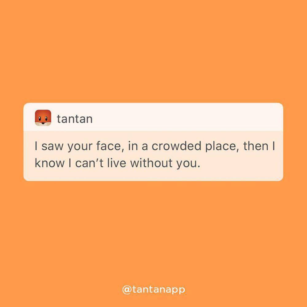 instagram.com/tantanapp