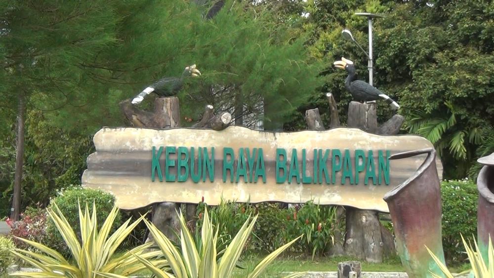 Kebun Raya Balikpapan: Hidden Gem untuk Wisata Alam dan Edukasi