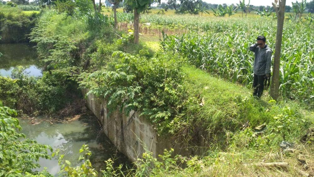 Cari Gergaji yang Jatuh di Kolam, Pria Tuban Tewas Tenggelam