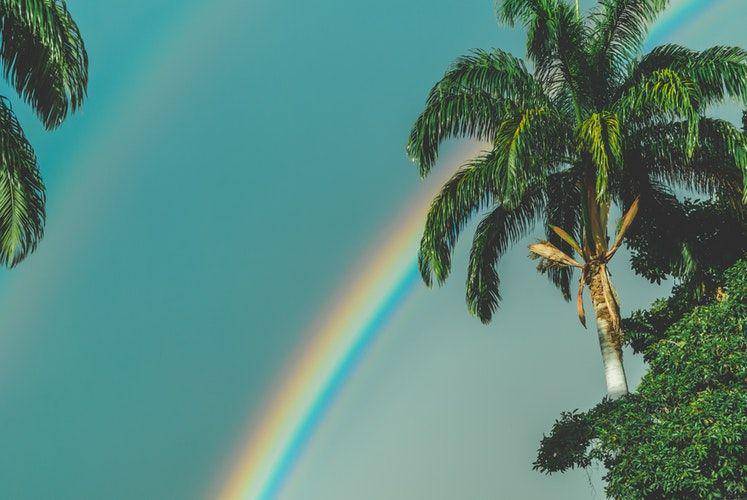 unsplash.com/jdrincs