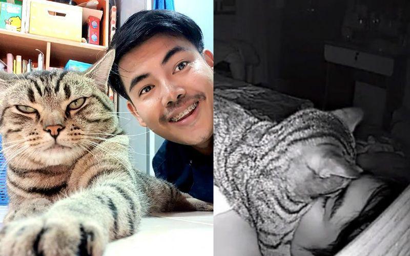 Cowok Ini Sesak Nafas Tiap Tidur, Ternyata Kucingnya yang Jadi Sebab