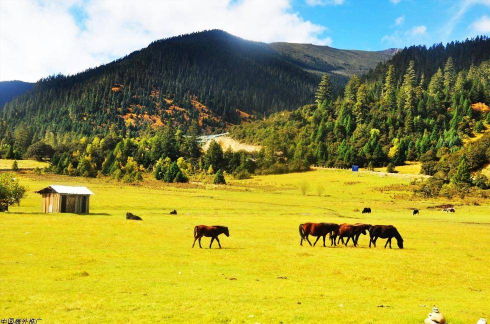 travelchina.gov.cn