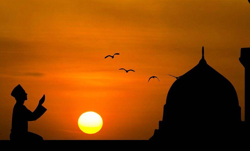 pixabay/mohamed_hassan