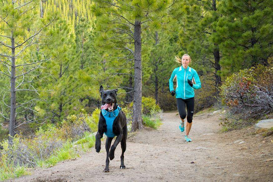 gearjunkie.com