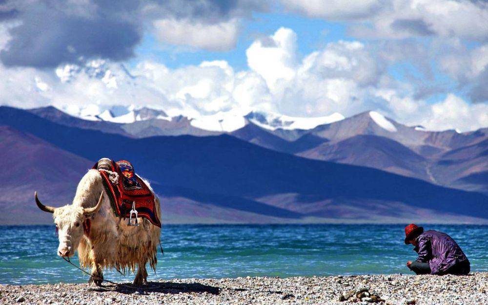 himalayan-dreams.com