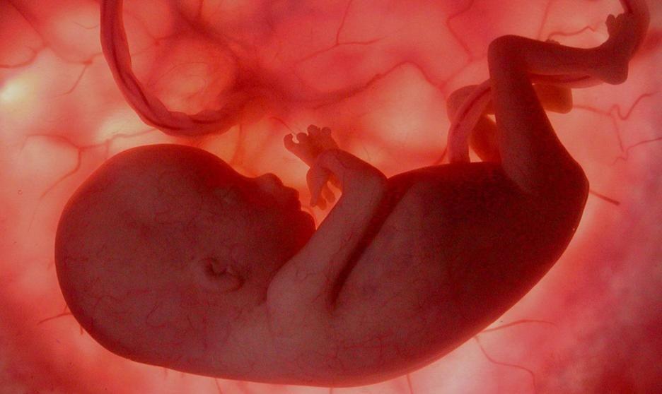 Apakah Bayi Juga Menangis dalam Kandungan? Ini 10 Fakta Sebenarnya!