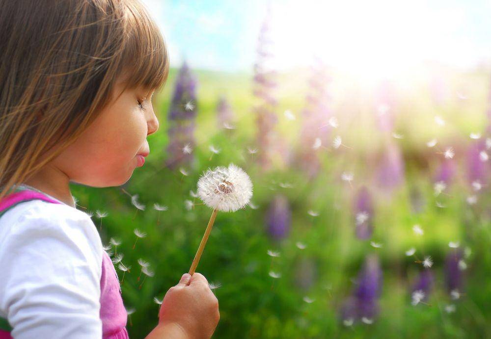 wishingstar.org