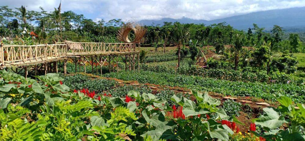 IDN Times/Beautiful Banyuwangi