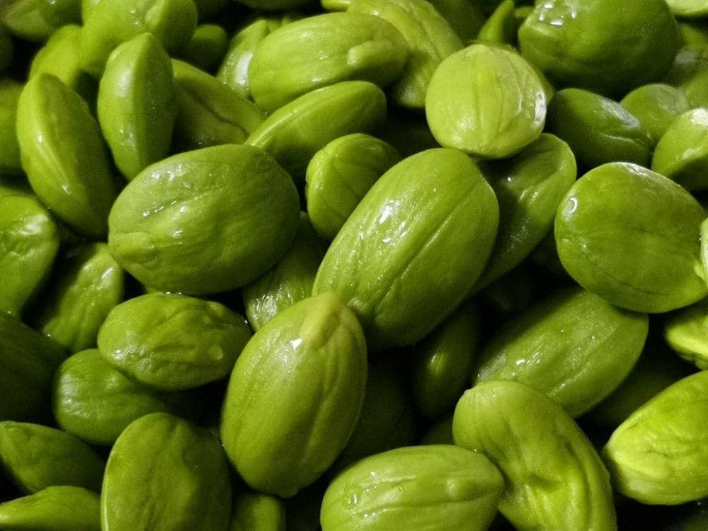 Cara Mengolah Pete Agar Tidak Bau Saat Dikonsumsi