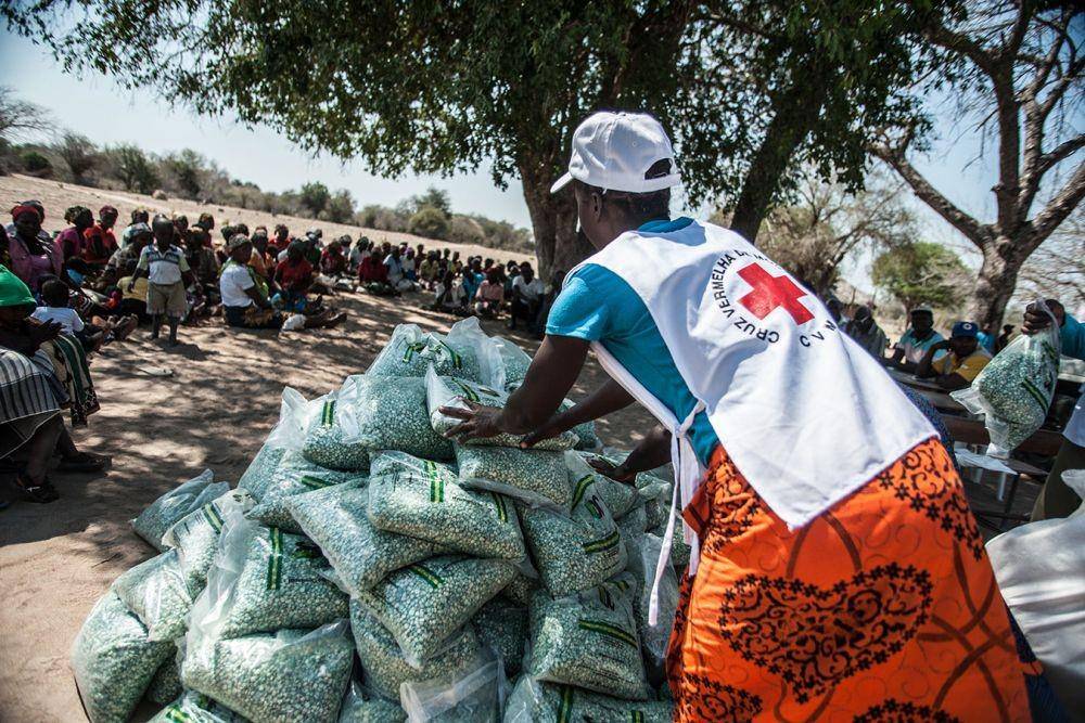 ifrc.org