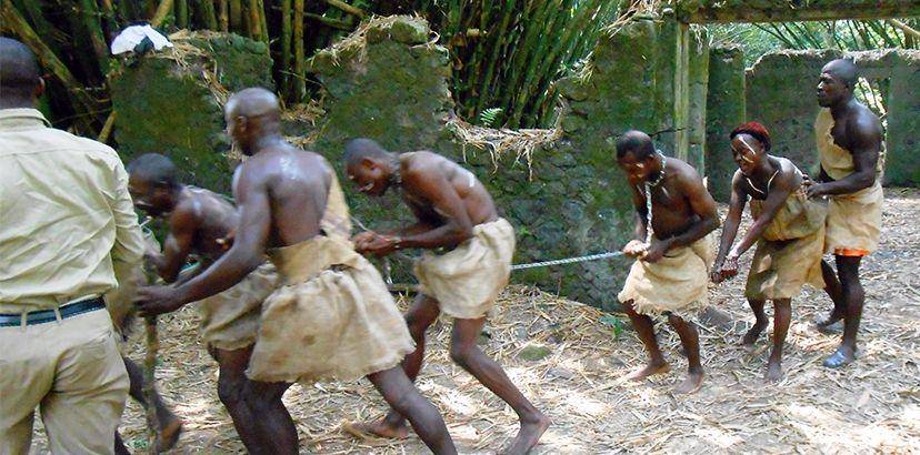 cameroon-report.com
