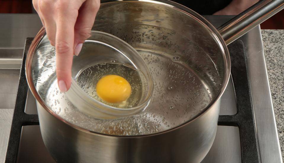 eggs.ca