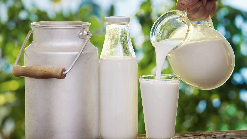 nirogyadairy.com
