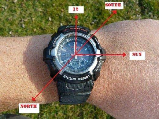 survivorninja.com