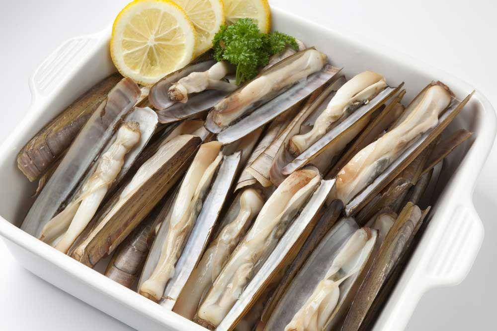 www.cippifish.com