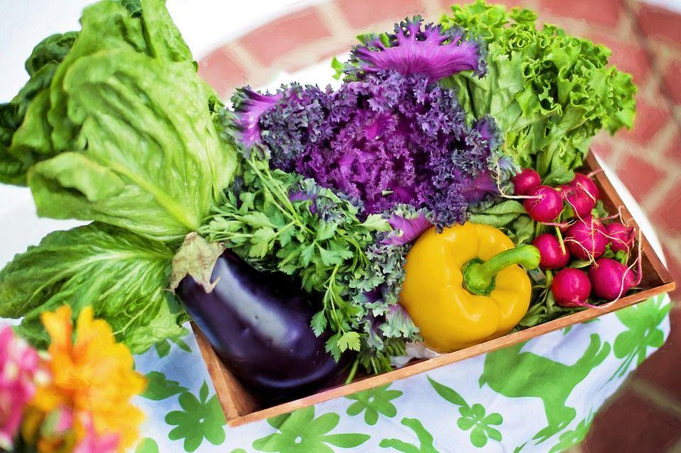 5 Sayur Ini Lebih Baik Dihindari Saat Sahur, Catat Ya!