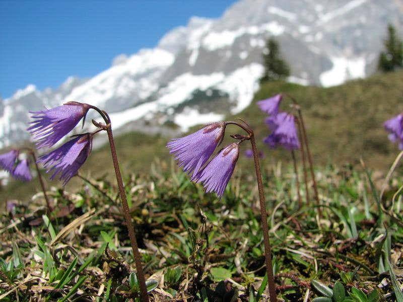 summitpost.org