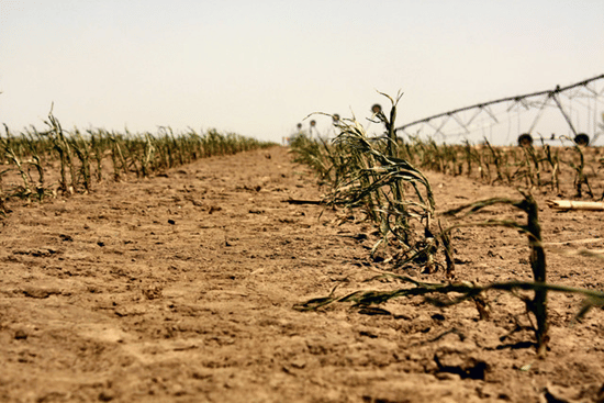 altereddimensions.net