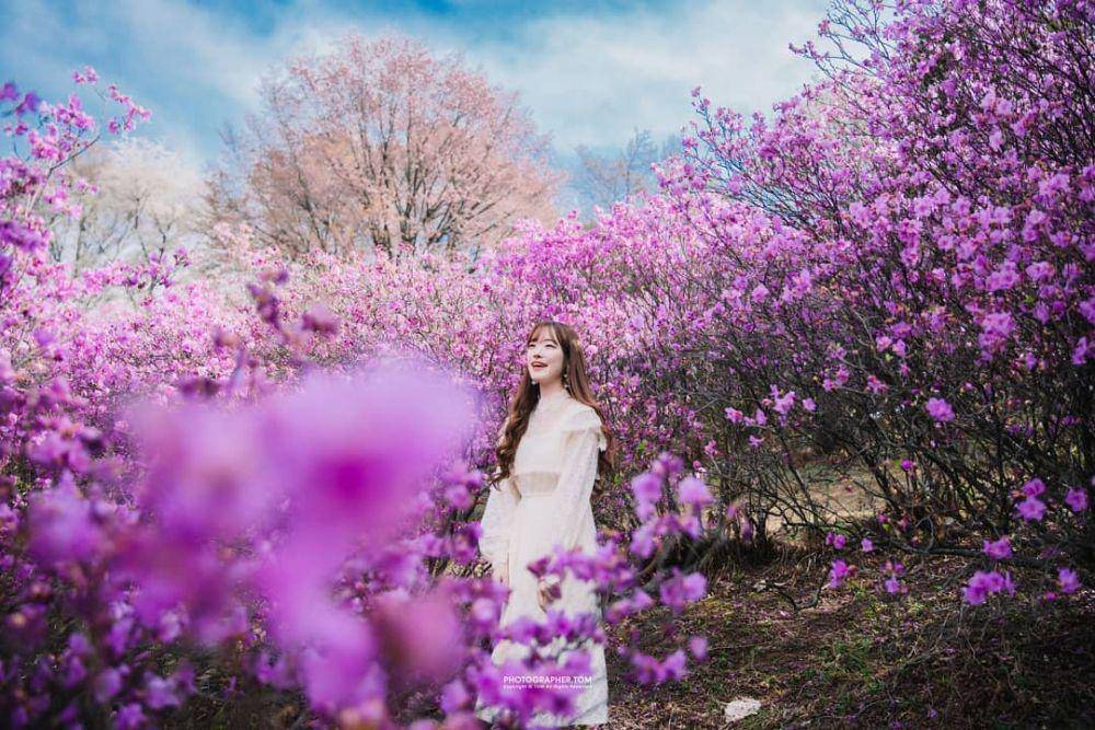 instagram.com/@iseoulyou