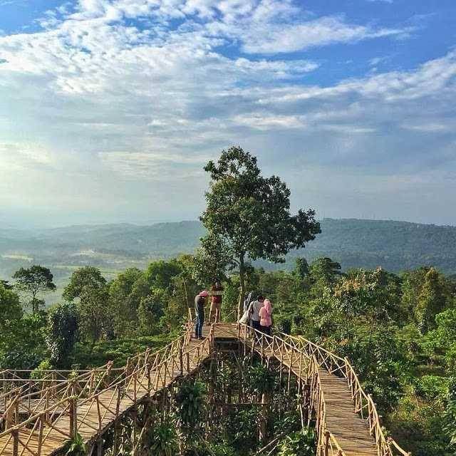 brobali.com