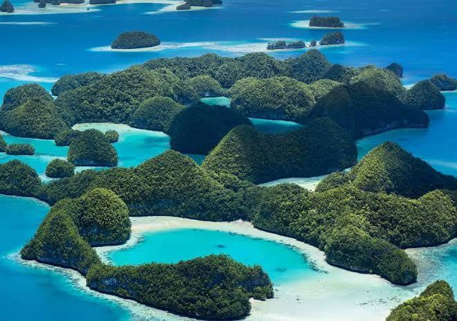 9 Potret Palau, Negara Tetangga Indonesia yang Alamnya Sangat Indah