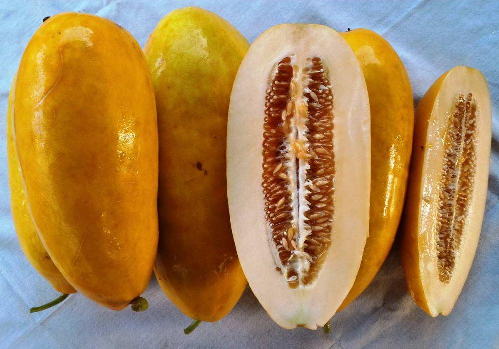 5 Tips Memilih Timun Suri yang Matang, si Buah Khas Ramadan