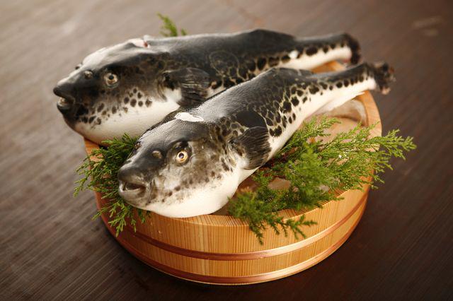 6 jenis seafood ini punya harga selangit