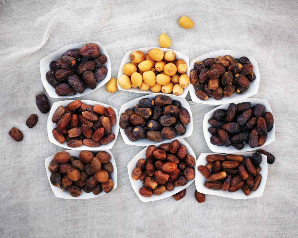 10 Jenis Kurma Paling Populer di Dunia, yang Mana Kesukaanmu?