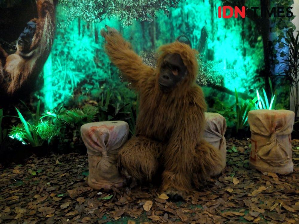 NOWUC3, Spot Foto di Hotel Santika untuk Lebih Mengenal Orangutan