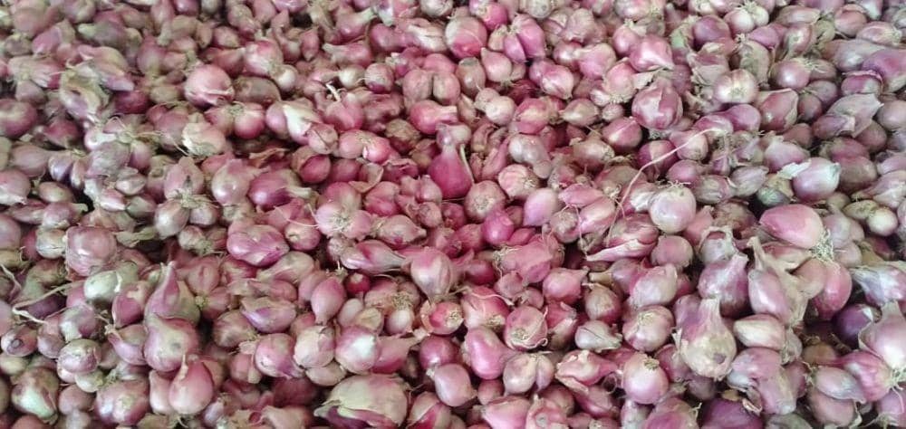 IDN Times/Daruwaskita