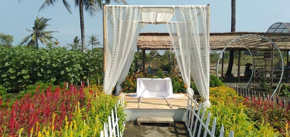 IDN Times/Daruwaskita