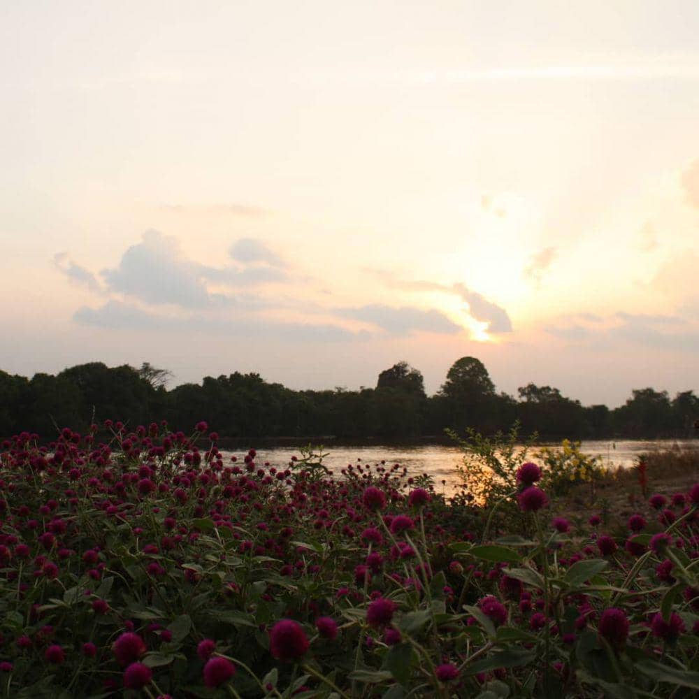 instagram.com/tamanwisataokura