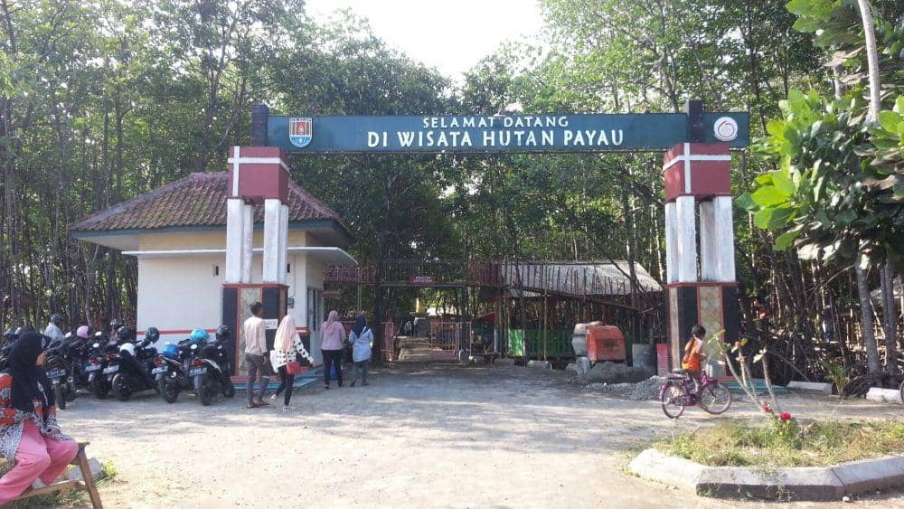 samzurry.wordpress.com