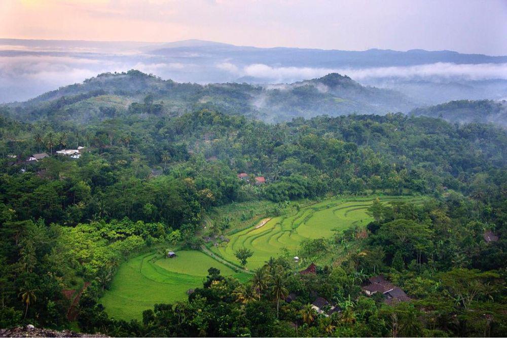 5 Spot Wisata Hijau di Jogja, Bikin Adem di Mata!