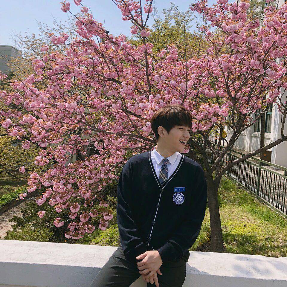 Instagram/@kim_msl
