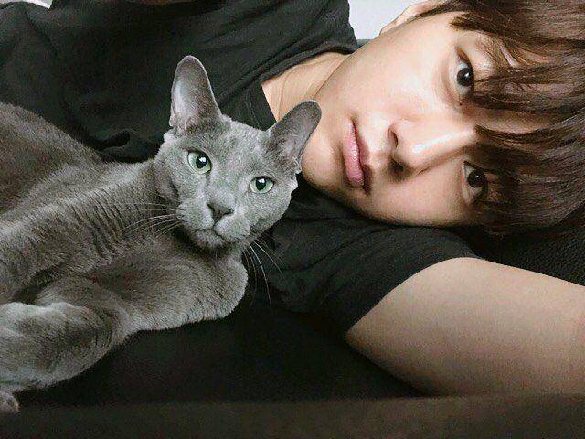 Instagram/@kim_msl