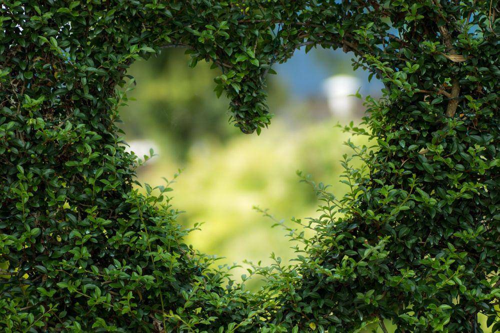 pixabay/biancacentil