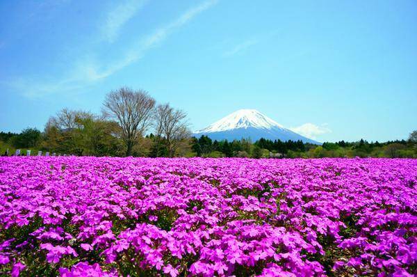 japantravel.navitime.com