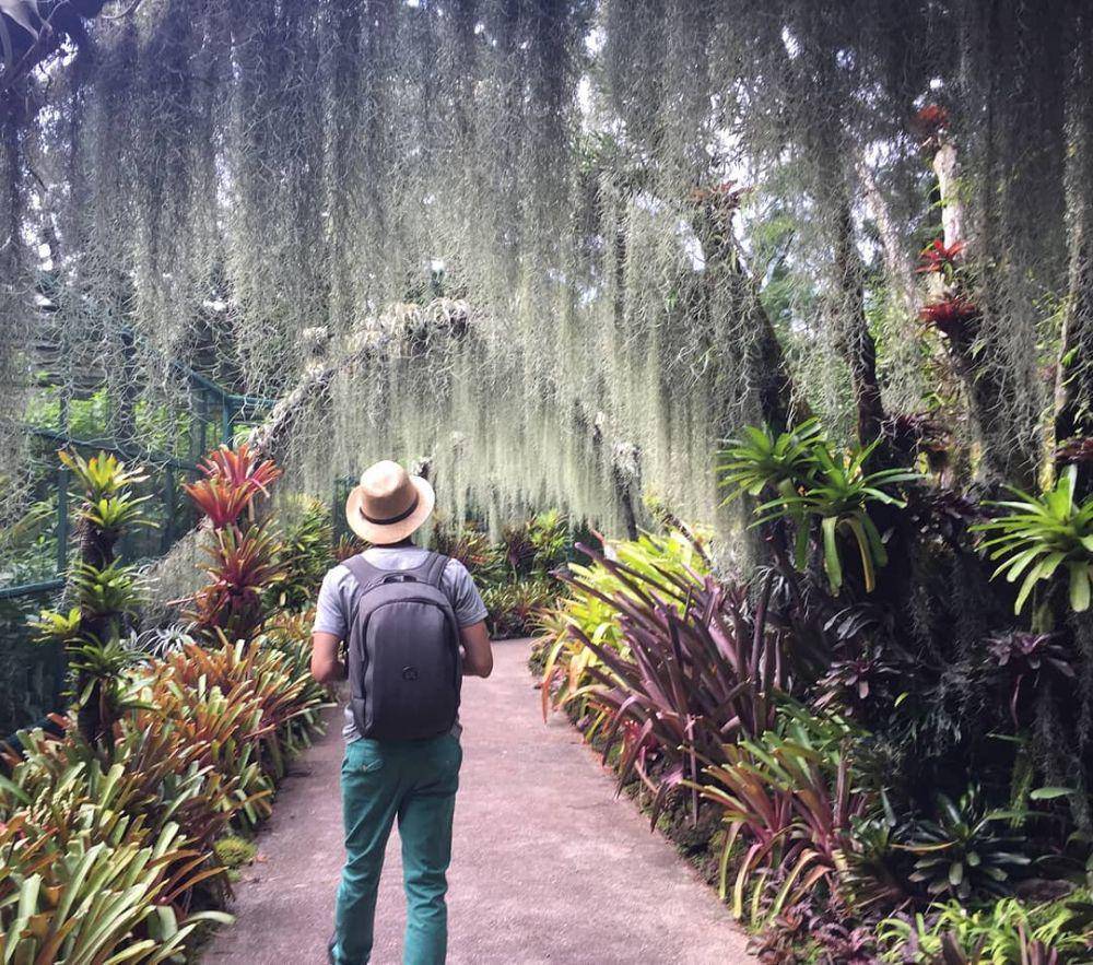 instagram.com/houseplantjournal