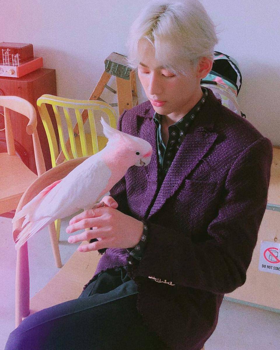 instagram.com/bambam1a